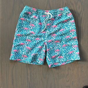Chubbies Boys Swim Trunks in Teal with Pink Flamingo Print